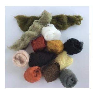 12 Nature Tones Color Set - Wool Top-Pre-Packaged Wool Sets-Acorns & Twigs-Acorns & Twigs