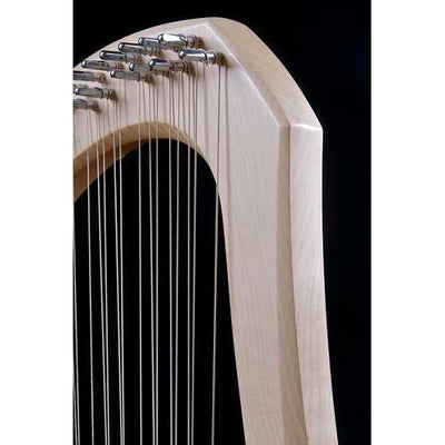 Auris Chromatic Lyre 30 String (LSK-030)-Lyres-Auris-Acorns & Twigs