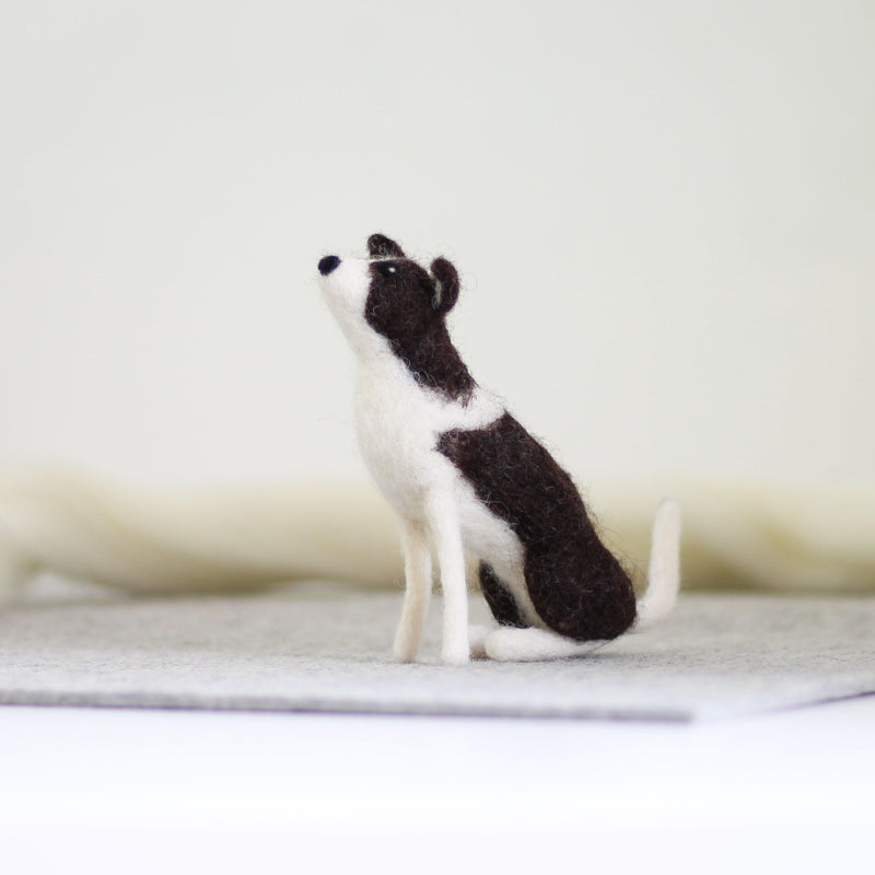 Border Collie Needle Felting Kit-Needle Felting-Hawthorn Handmade-Acorns & Twigs