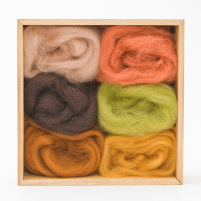 Earth Corriedale Wool Roving - 6 Pack Assorted-Pre-Packaged Wool Sets-WoolPets-Acorns & Twigs