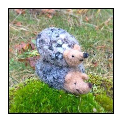 Hedgehog Needle Felting Kit - EASY-Needle Felting-WoolPets-Acorns & Twigs