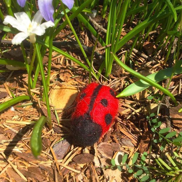 Ladybugs & Bumblebees Needle Felting Kit - Starter Kit-Needle Felting-WoolPets-Acorns & Twigs