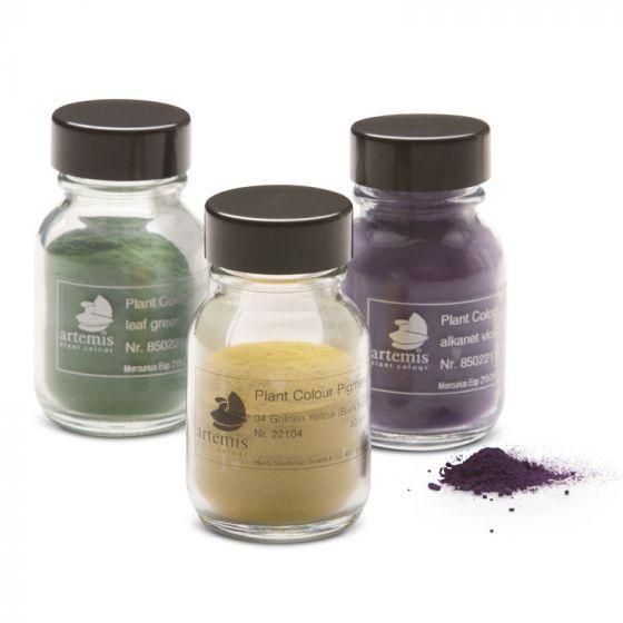 Plant Pigment Powder - 50 ml-Painting-Artemis-Acorns & Twigs