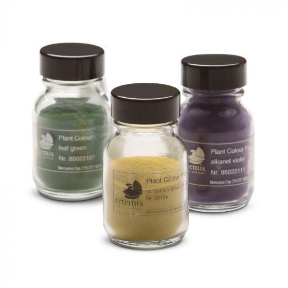 Plant Pigment Powder - 50 ml-Painting-Artemis-Acorns & Twigs