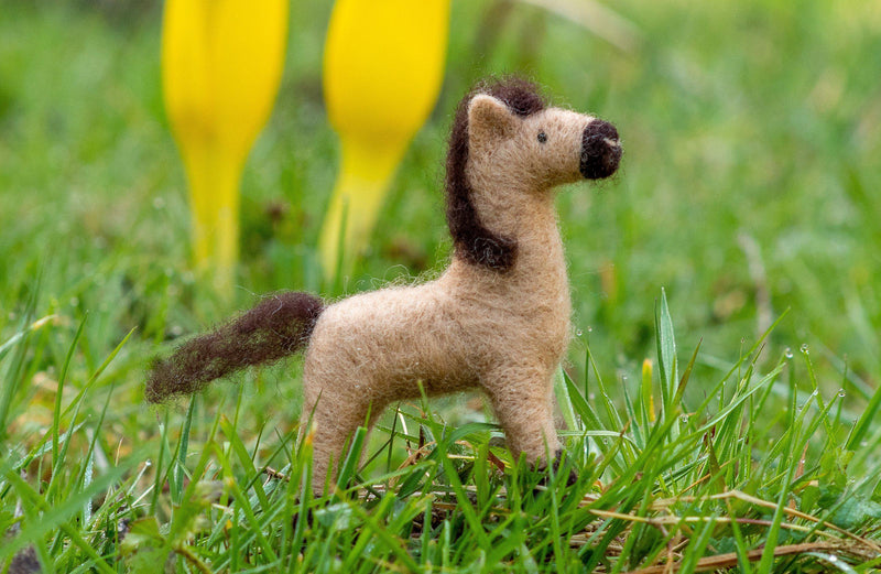 Pony Needle Felting Kit - Intermediate-Needle Felting-WoolPets-Acorns & Twigs