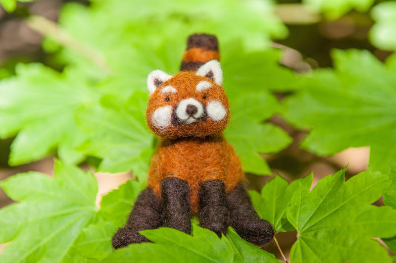 Red Panda Needle Felting Kit - Intermediate-Needle Felting-WoolPets-Acorns & Twigs