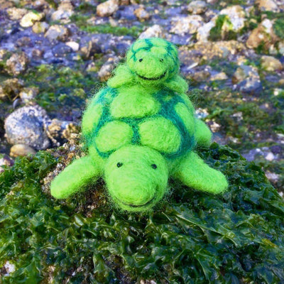 Sea Turtle Needle Felting Kit - EASY-Needle Felting-WoolPets-Acorns & Twigs