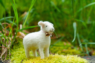 Sheep Needle Felting Kit - Intermediate-Needle Felting-WoolPets-Acorns & Twigs